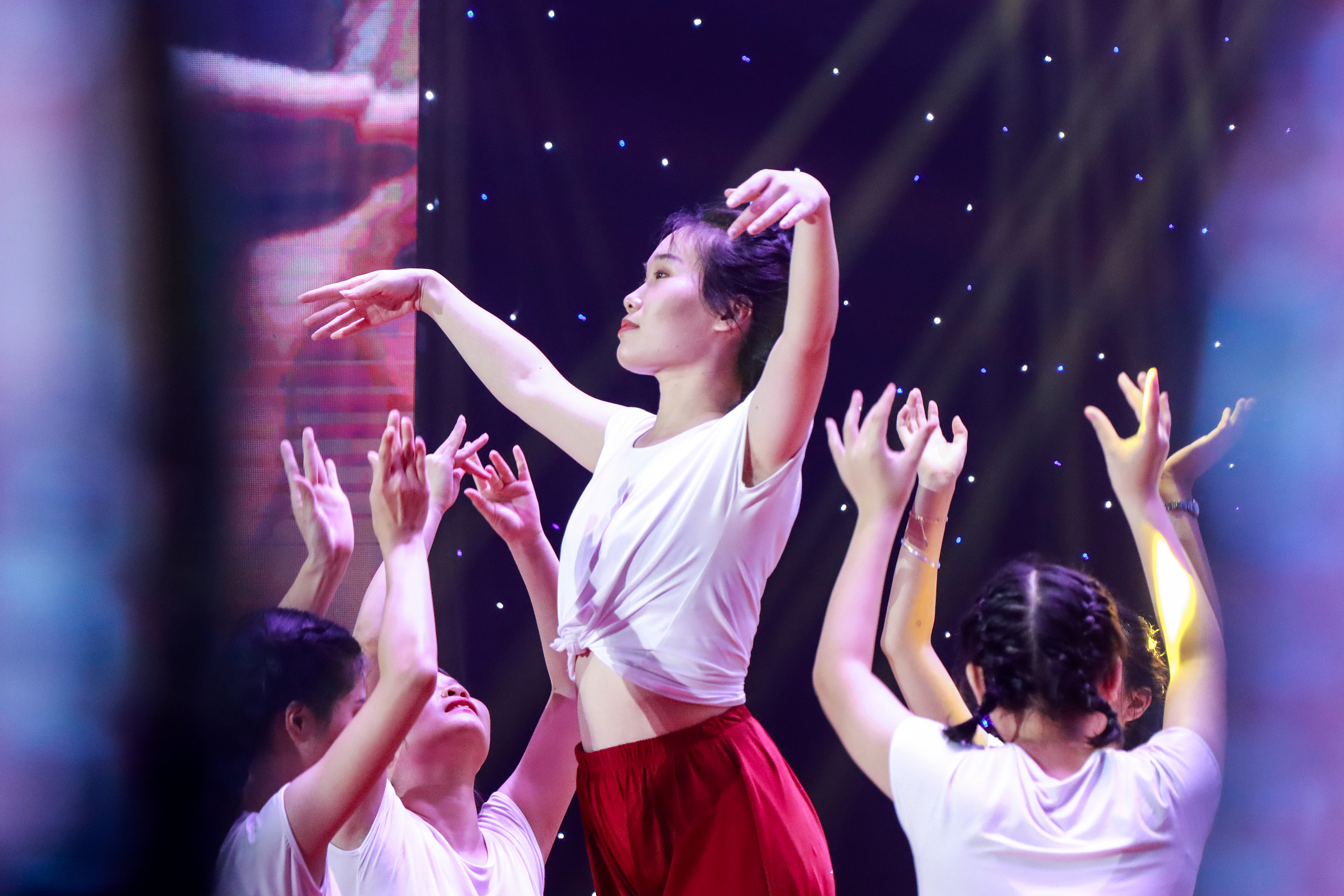 《绒花》 林为诚.jpg